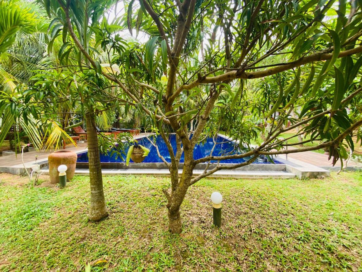 Hidden Garden Tangalle Exteriér fotografie
